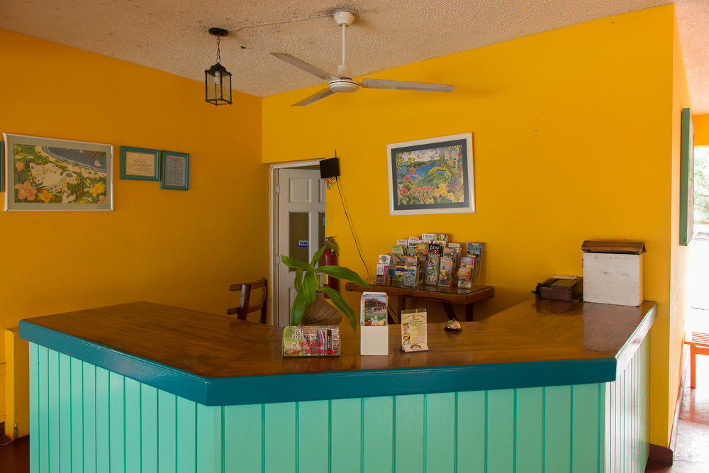 Tropical Court Inn New キングストン エクステリア 写真